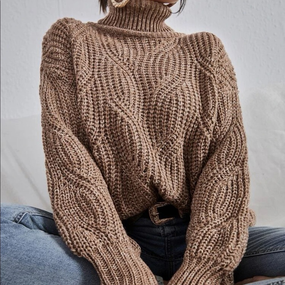 Turtleneck Sweater